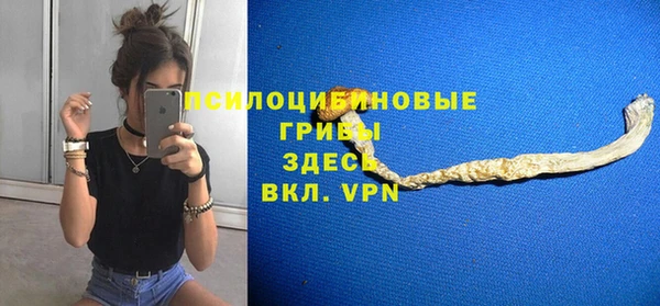 меф Алексин