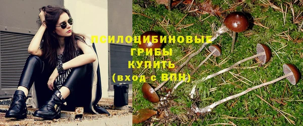 амф Алзамай