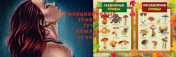 амф Алзамай