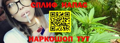 сатива Кинель
